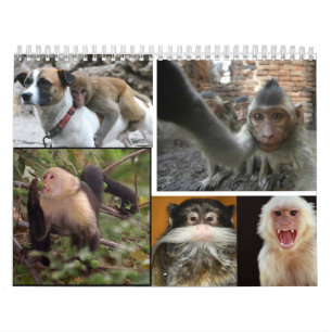 Apakalender 2013 kalender