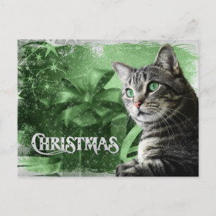 APAL - Julsilvertabby katt Helg Vykort