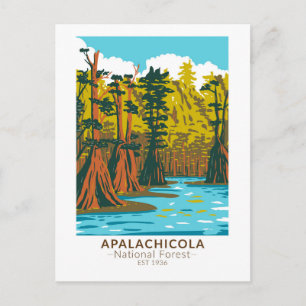 Apalachicola National Forest - Trädet Baldcypress Vykort