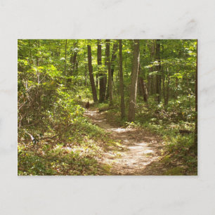 apalachiska trail pennsylvania-kalkoner vykort