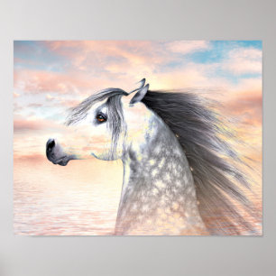 Apaloosa häst poster