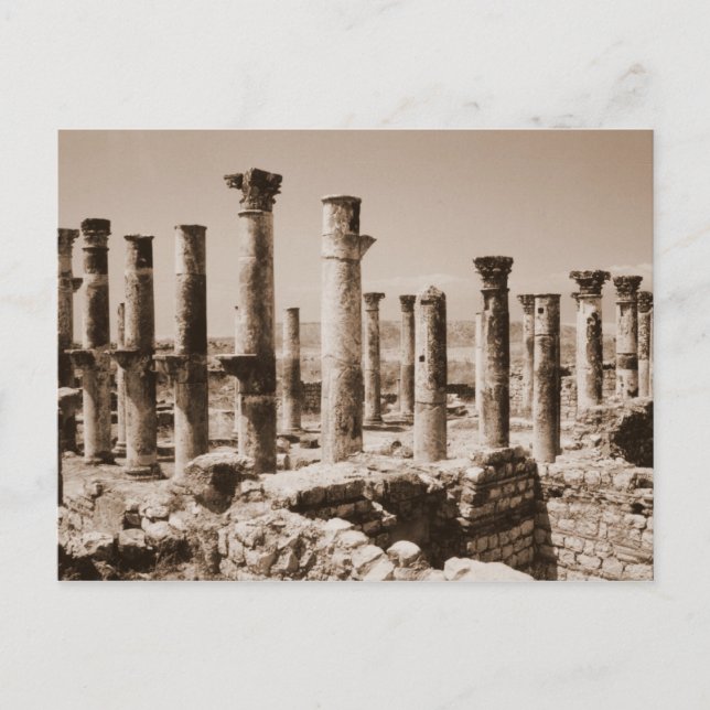 Apamea Vykort (Framsida)
