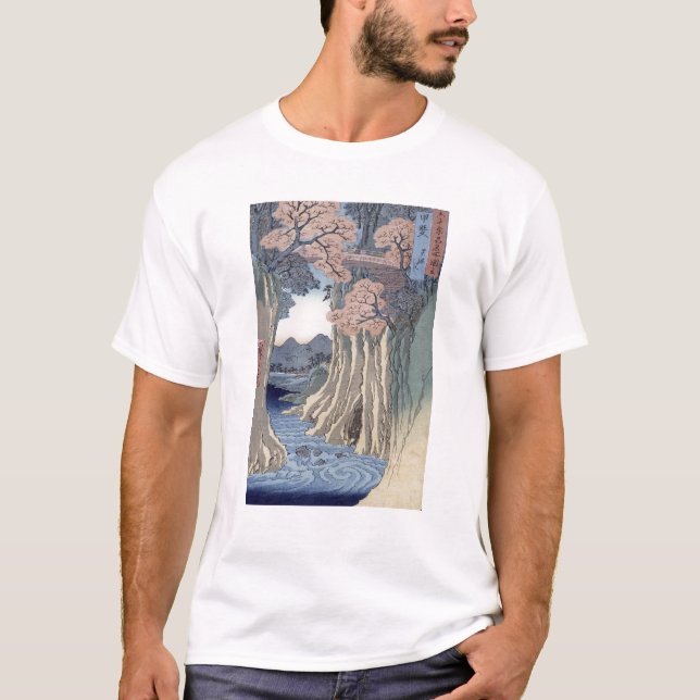 Apan överbryggar i det Kai landskapet Tee (Framsida)