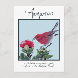 Apapane & Lehua Blossom Hawaii Natur Illustration Vykort