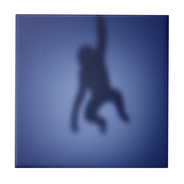 Apasilhouette Kakelplatta (Framsidan)