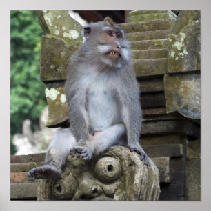Apasitta på en staty i Bali Poster