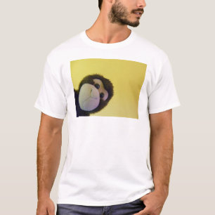 apaskjorta tee shirt