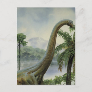 Apatosaurus (Brontosaurus) Eating Illustration Vykort