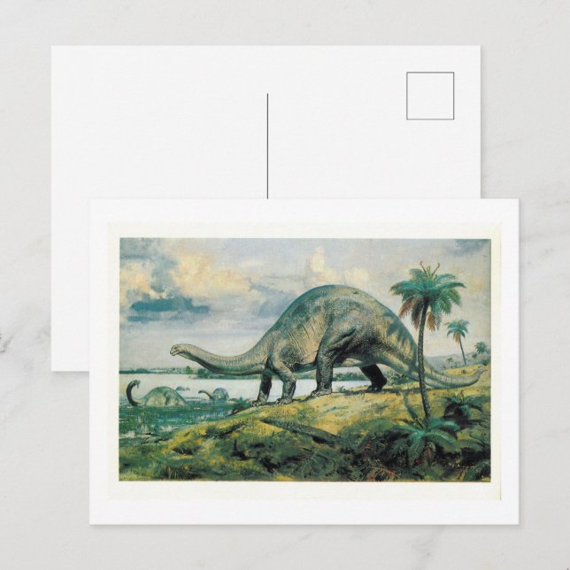 Apatosaurus Excelsus (Brontosaurus) Vykort (Fram/baksida)