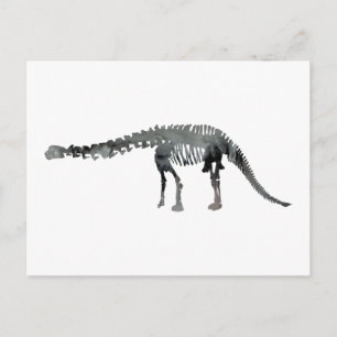 apatosaurus skelett vykort