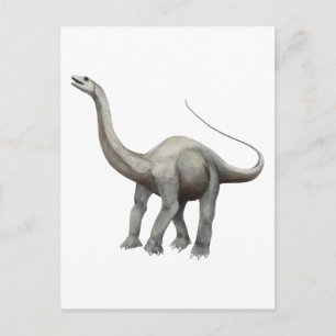 Apatosaurus Vykort
