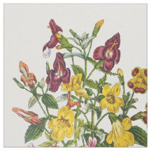 Apblommor