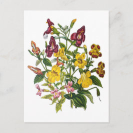 Apblommor Vykort