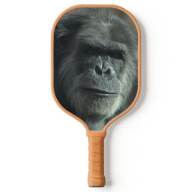 Ape