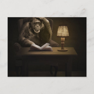 Ape Chimpanzee Monkey Vykort