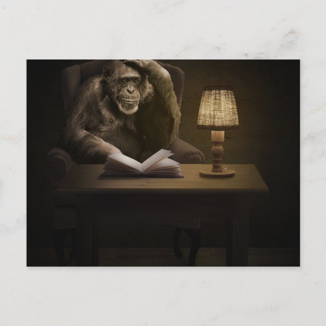 Ape Chimpanzee Monkey Vykort (Framsida)