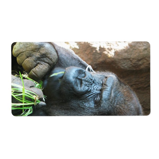 Ape hood ~ Japanese Gorilla Eating Fraktsedel (Framsidan)