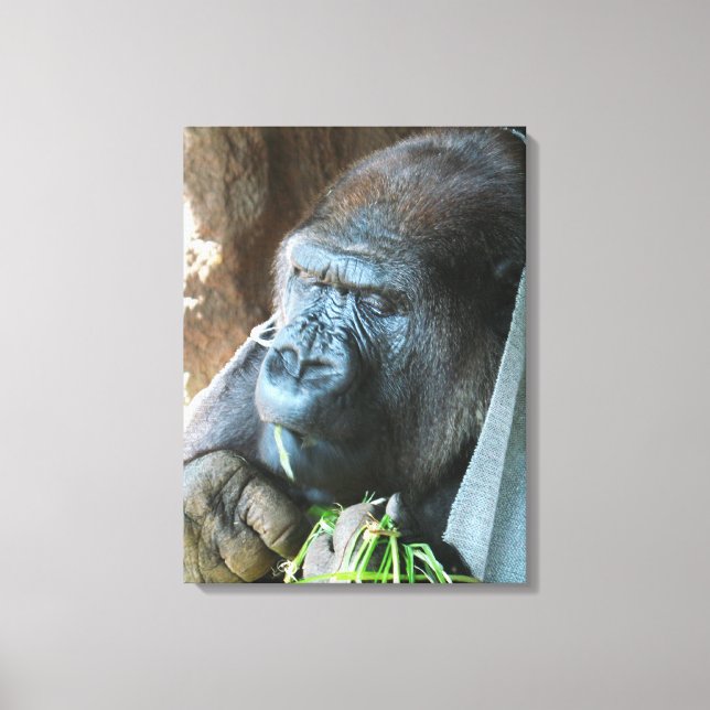 Ape-huv ~ Japansk gorilla som äter Canvastryck (Framsida)