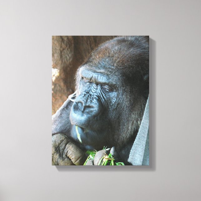 Ape huva ~ Japansk Gorilla Eating Canvastryck (Framsida)
