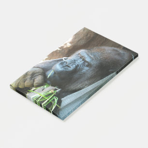 Ape huva ~ Japansk Gorilla Eating Post-it Block