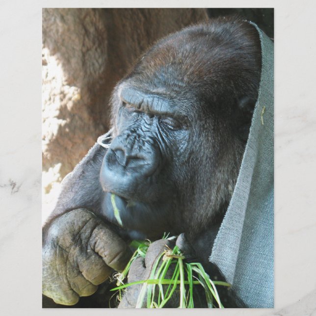 Ape huva ~ Japansk Gorilla Eating Reklamblad (Framsidan)