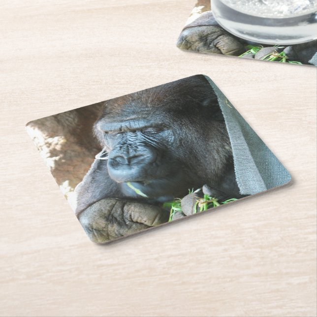 Ape huva ~ Japansk Gorilla Eating Underlägg Papper Kvadrat (Vinklad)