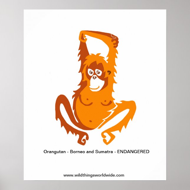 Ape - ORANGUTAN - utrotningshotat djur Poster (Framsidan)