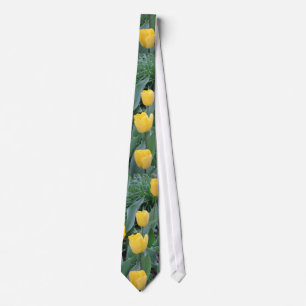 Apeldoorn tulpan slips