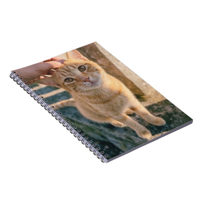 Apelsin Katt Notisbok Anteckningsbok (Högra Sidan)