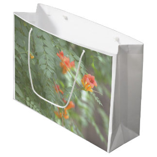 Apelsin Vilda Blommor Presentpåse