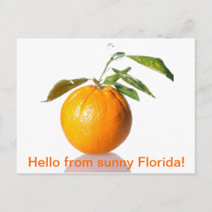 Apelsin vykort - hej från soliga Florida!