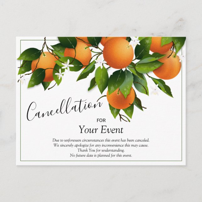 Apelsiner Kanslierings vykort (Framsida)