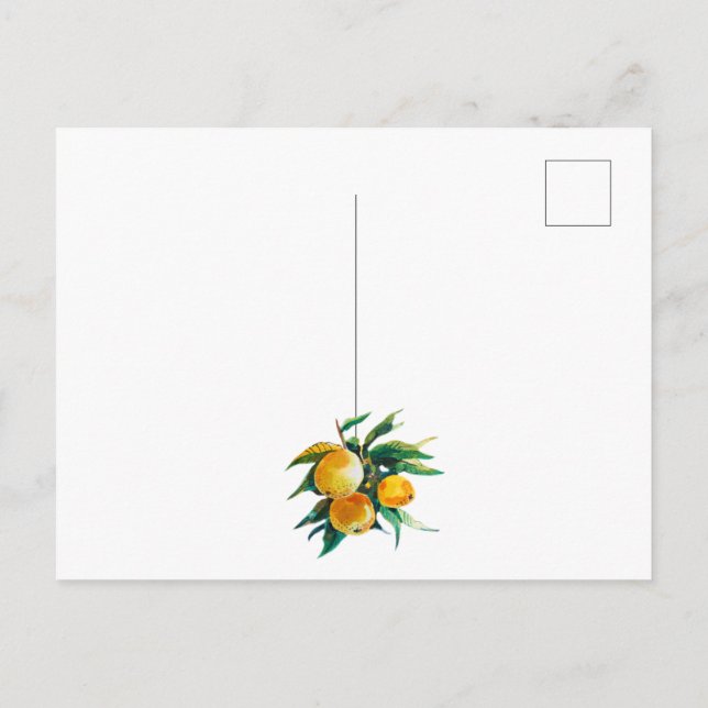 Apelsiner och blommor vykort (Baksida)