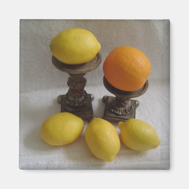 Apelsiner och citroner magnet (Framsidan)