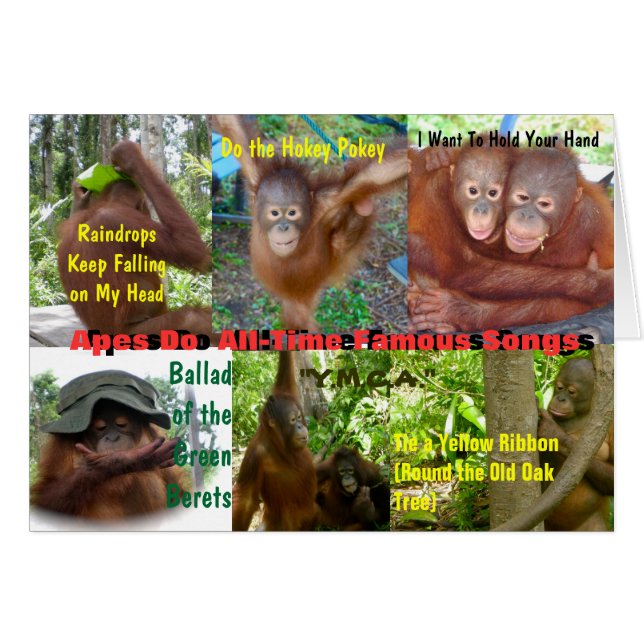 Apes Do All-Time Berömd Sång OBS Kort (Framsidan Horizontal)