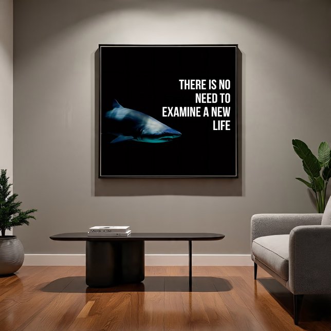 Apex Poster (Skapare uppladdad)