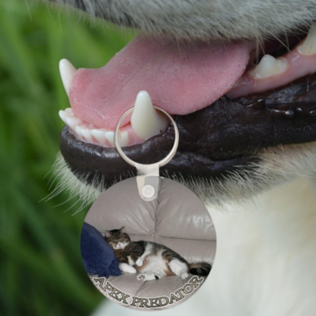 Apex Predator Fat lazy cat keychain Nyckelring (Skapare uppladdad)