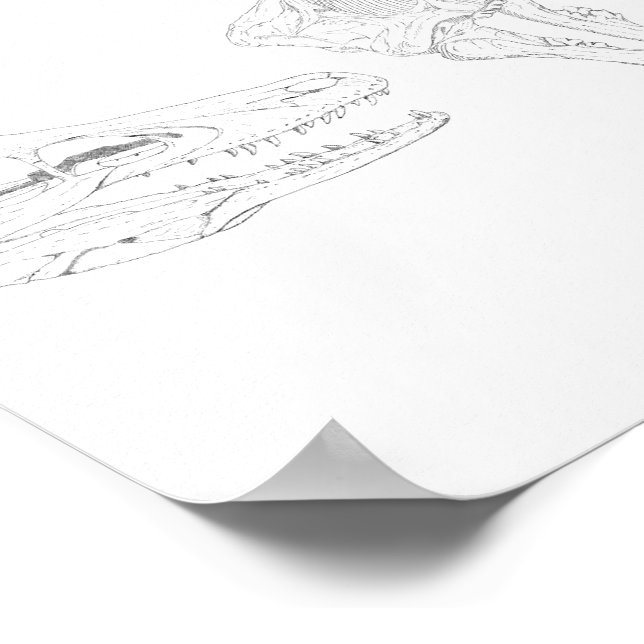 Apex-utskrift Poster (Hörn)