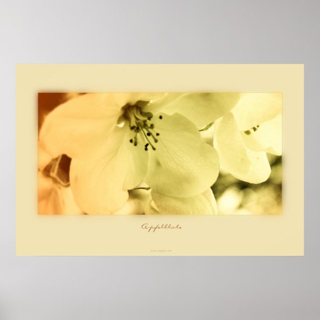 Apfelblüte Poster (Framsidan)