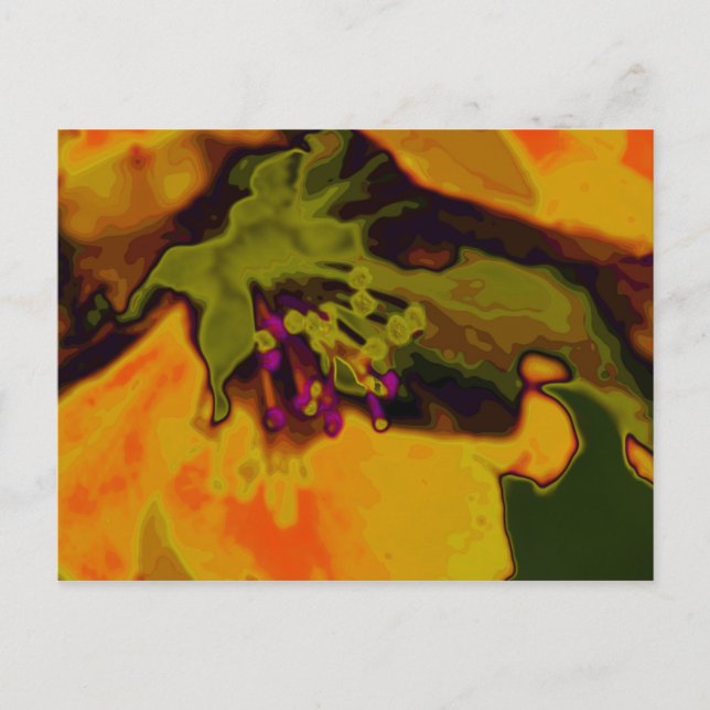 Apfelblüte Vykort (Framsida)