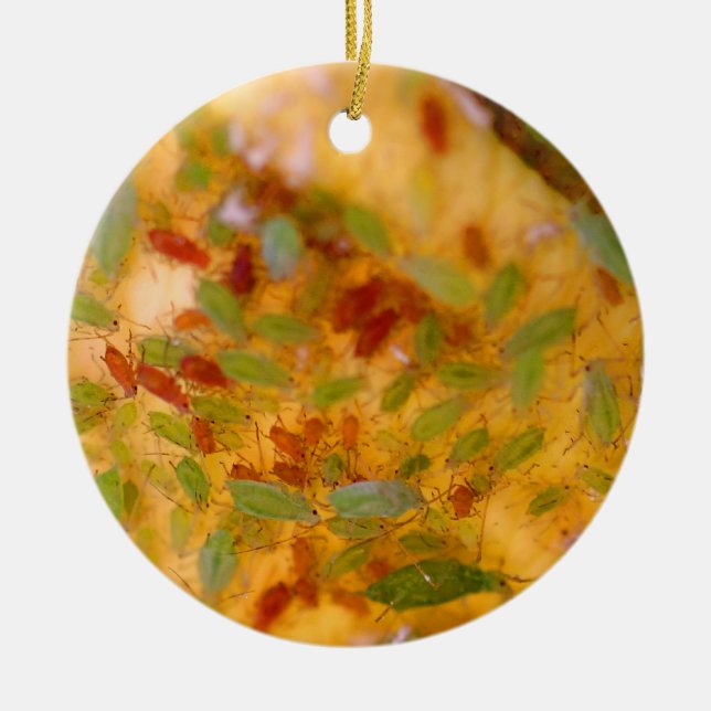 AphidsInfestation Julgransprydnad Keramik (Framsidan)