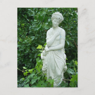 Aphrodite in Euonymus & Ivy Garden Vykort