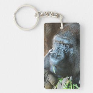Aphuv ~ Japansk gorilla som äter