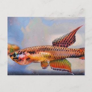 Aphyosemion bitaeniatum Ijebu Ode Killifish Vykort