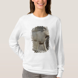 Apistjuren, från Serapeumen, Memphis T Shirt