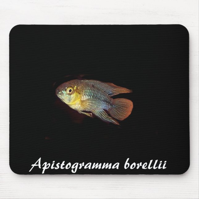 Apistogramma borelliimousepad musmatta (Framsidan)