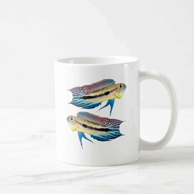 Apistogramma mendezi kaffemugg (Höger)