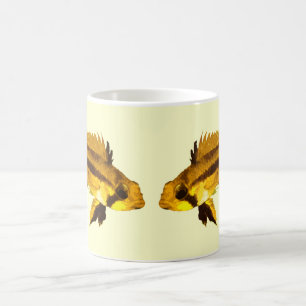 Apistogrammas dvärgciklid kaffemugg