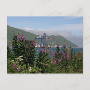 APL-kran i Dutch Harbor, Alaska Vykort