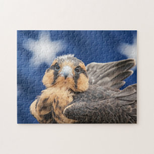Aplomado Falcon med Flagga Pussel